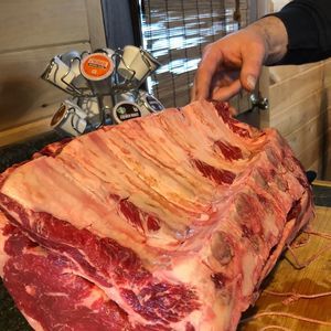 Meet your Posher, Terry